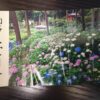 三室戸寺あじさい園の入場券